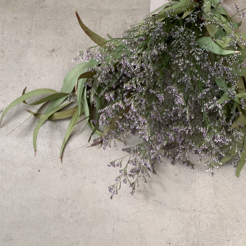 柳葉ユーカリとスターチスのドライスワッグ 50cm 009 スワッグ Rside