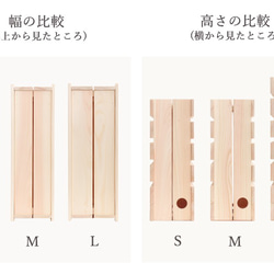  第5張的照片