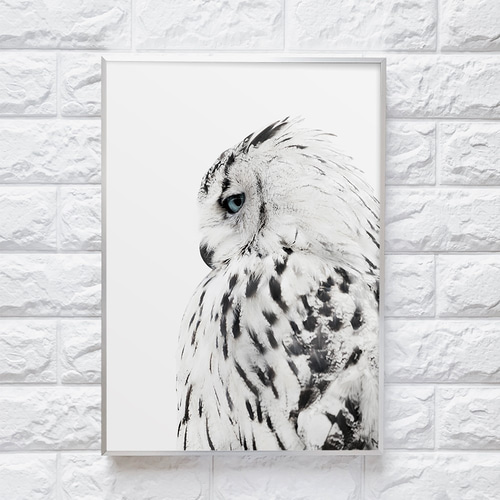 0053】アートポスター White Owl Decor, Scandinavian Print フクロウ