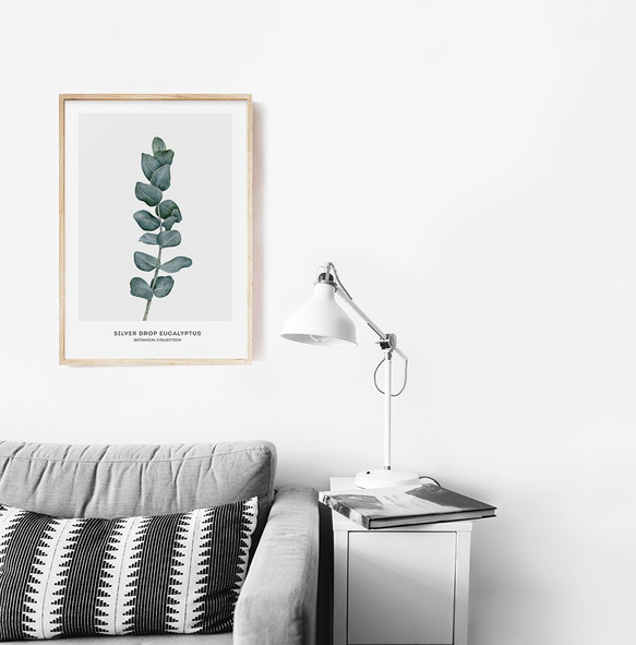 【0238】アートポスター　Botanical Water Color Art Print. ユーカリ　北欧 5枚目の画像