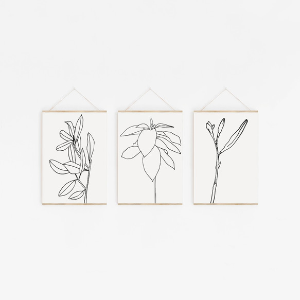 【0261】アートポスター　Botanical Line Drawing Mtisse Print　マティス　ボタニカル 3枚目の画像