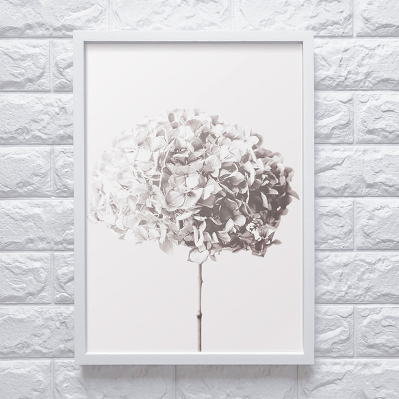 【0500】アートポスター　Hydrangea, Botanical Art Print　あじさい　北欧インテリア 6枚目の画像