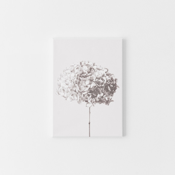 【0500】アートポスター　Hydrangea, Botanical Art Print　あじさい　北欧インテリア 4枚目の画像