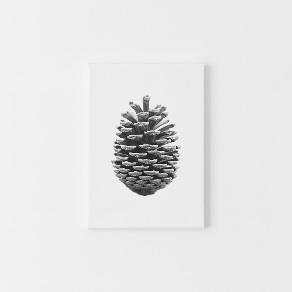 【0039】アートポスター Pine Cone, Scandinavian Wall Decor モノトーン　北欧　海外 3枚目の画像