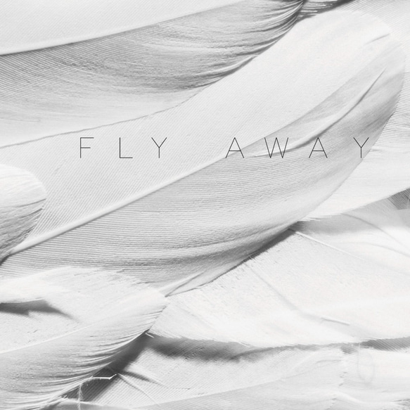 【0471】アートポスター　FLY AWAY, Feather wall art Print　モノトーン　北欧 2枚目の画像