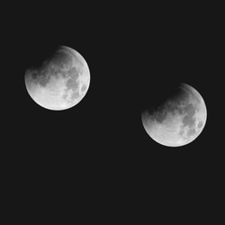 【0624】アートポスター　La Luna, Moon Phases Poster　モノトーン　北欧　月　海外インテリア 8枚目の画像