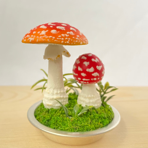 Nommi 400%v2 きのこ シリーズ パステル水色 くらげ nommi 400% キノコ - メルカリ