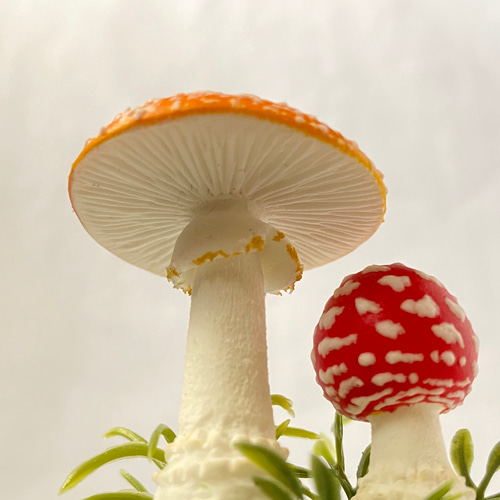 mt.saji🍄きのこめあ制作中 (@sajiyama1gome) / X