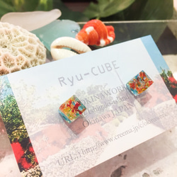 《再販》Ryu-CUBE シリーズ 2枚目の画像