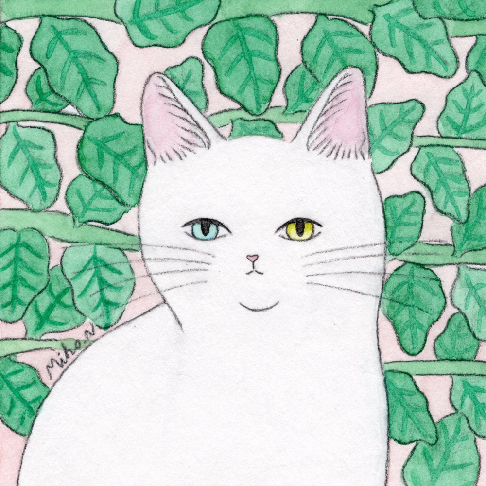 原画「猫たちのポートレート オッドアイの白猫」