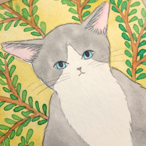 原画「猫たちのポートレート グレーのハチワレ猫」 イラスト