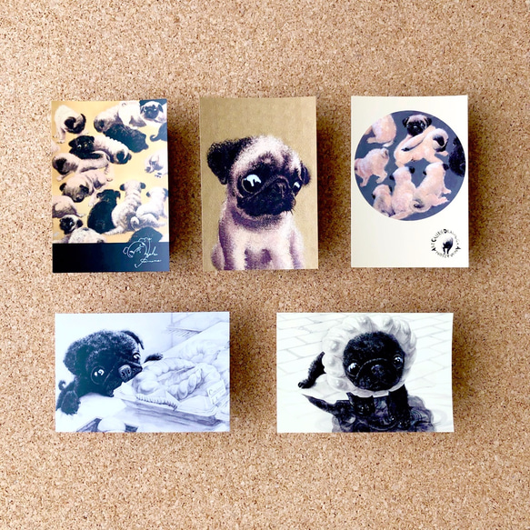 【黒パグ】クリアファイル（A4）+ ポストカード５枚～絵本『ぼくぱぐ』ステーショナリー　品番「どこなの？」 6枚目の画像