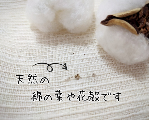 【和綿】紬織り ふんわりギャザーの後ろスリットブラウス オーガニックコットン MLサイズ 10枚目の画像