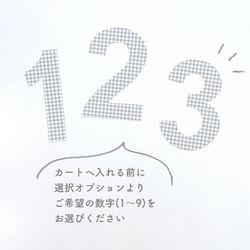 お誕生日の飾り付けに〈ギンガムチェック・グレー〉  /お誕生日/数字/年齢/1歳〜【5】 5枚目の画像