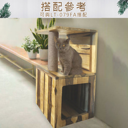 【吉迪市柚木家具】胡桃木小型貓窩 LT-079FB 寵物用品 貓咪 貓屋 寵物窩 第2張的照片