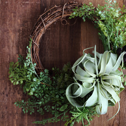 専用＊エアプランツ＆オリーブ　シックナチュラル フェイクリース 楽天市場】オリーブ リース Mサイズ オールシーズン 年中 造花