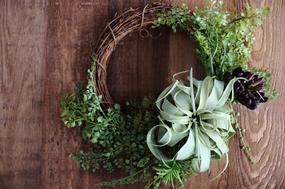 エアプランツ・多肉リース リース S-colour 通販 3406863｜Creema