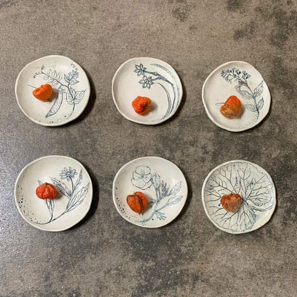 「小皿・いのちのきおくシリーズ」陶磁器、ギフト、ボタニカル 3枚目の画像