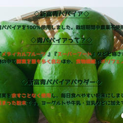 〜酵素の王様を手軽にパクッと〜MIYAZAKI Green Papaya Powder（50g）【送料最安】 3枚目の画像