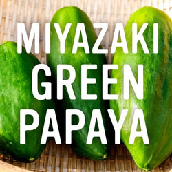 〜あれっ、苦くない、むしろ甘い！〜MIYAZAKI Green Papaya CRAFT Powder（100g） 2枚目の画像