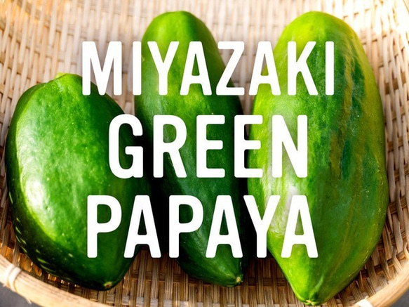 〜あれっ、苦くない、むしろ甘い！〜MIYAZAKI Green Papaya CRAFT Powder（100g） 2枚目の画像