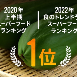 〜あれっ、苦くない、むしろ甘い！〜MIYAZAKI Green Papaya CRAFT Powder（100g） 3枚目の画像