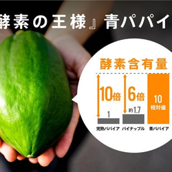 〜あれっ、苦くない、むしろ甘い！〜MIYAZAKI Green Papaya CRAFT Powder（100g） 4枚目の画像