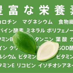 〜あれっ、苦くない、むしろ甘い！〜MIYAZAKI Green Papaya CRAFT Powder（100g） 5枚目の画像