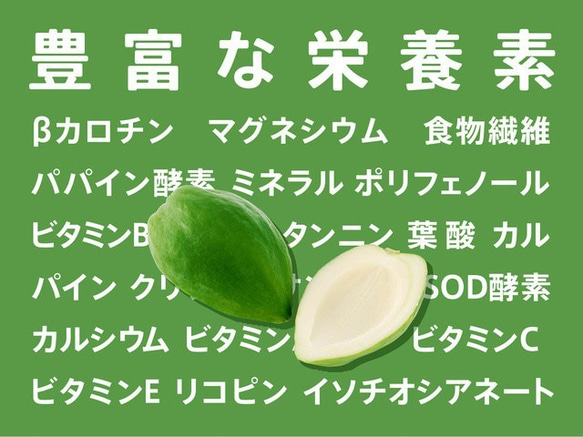 〜あれっ、苦くない、むしろ甘い！〜MIYAZAKI Green Papaya CRAFT Powder（100g） 5枚目の画像