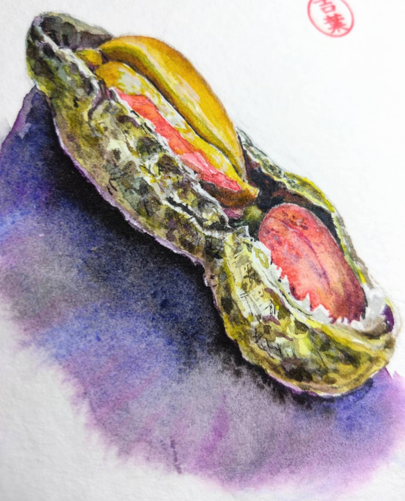 食物 花生peanut  明信片105x148mm max 葉于聖 水彩明信片 Watercolor postcards 第1張的照片