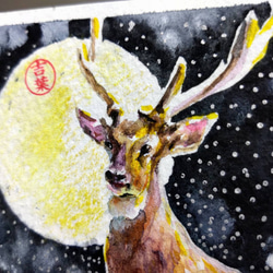 動物 梅花鹿 Sika deer 明信片105x148mm max 葉于聖 水彩明信片 Watercolor postc 第1張的照片