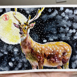 動物 梅花鹿 Sika deer 明信片105x148mm max 葉于聖 水彩明信片 Watercolor postc 第2張的照片