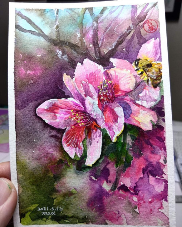 植物 櫻花 Cherry blossoms 明信片105x148mm max 葉于聖 水彩明信片 Watercolor 第2張的照片