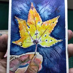 植物 楓葉 Maple leaf 明信片105x148mm max 葉于聖7水彩明信片Watercolor postca 第1張的照片