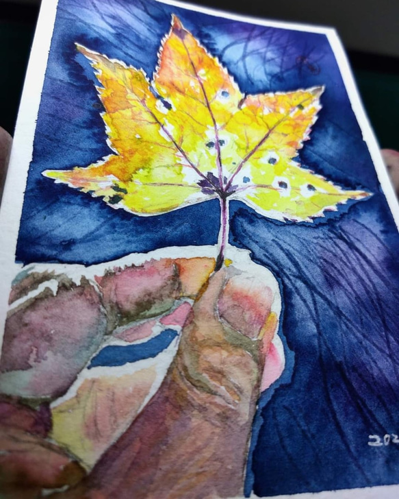 植物 楓葉 Maple leaf 明信片105x148mm max 葉于聖7水彩明信片Watercolor postca 第2張的照片