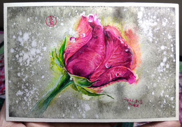 植物 獻上一朵玫瑰感恩 Offer a rose to be grateful 明信片105x148mm max 葉于聖 第1張的照片