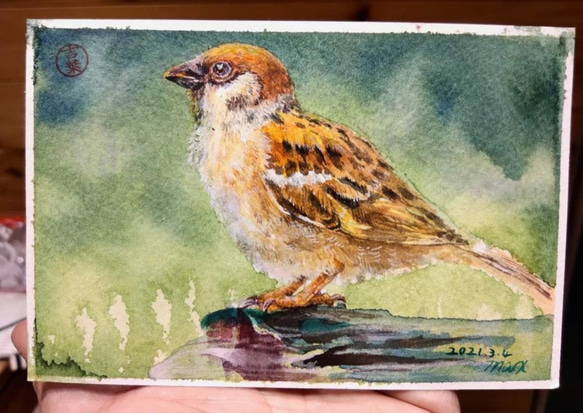 動物 sparrows麻雀 局部明信片105x148mm max 葉于聖 水彩明信片 Watercolor postca 第1張的照片