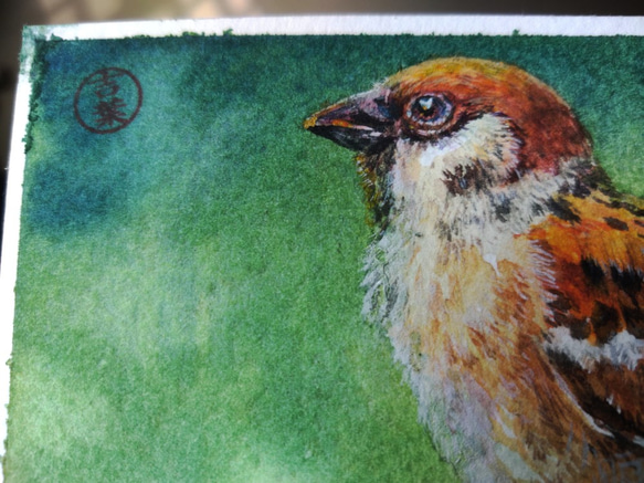 動物 sparrows麻雀 局部明信片105x148mm max 葉于聖 水彩明信片 Watercolor postca 第2張的照片