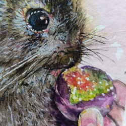 動物 可愛小兔 Cute bunny 明信片105x148mm max 葉于聖水彩明信片 Watercolor post 第2張的照片