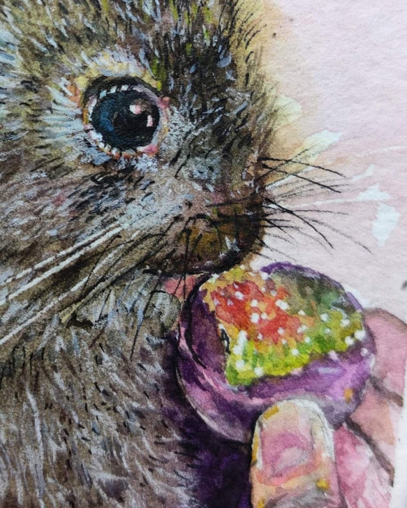 動物 可愛小兔 Cute bunny 明信片105x148mm max 葉于聖水彩明信片 Watercolor post 第2張的照片