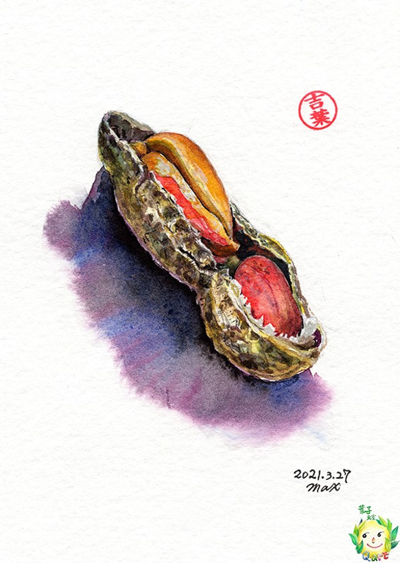 a6 食物 花生peanut  明信片105x148mm max 葉于聖水彩明信片 Watercolor postcar 第1張的照片