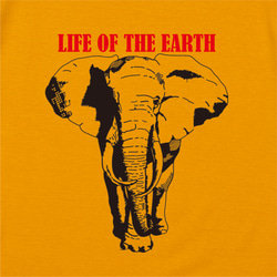 【送料無料】「象～LIFE OF THE EARTH」（ゴールド） ゾウ　ぞうさん【ゆうパケット送料サービス】 2枚目の画像