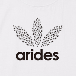 【送料無料】おもしろキッズTシャツ「arides」ホワイト【ゆうパケット送料サービス】 3枚目の画像