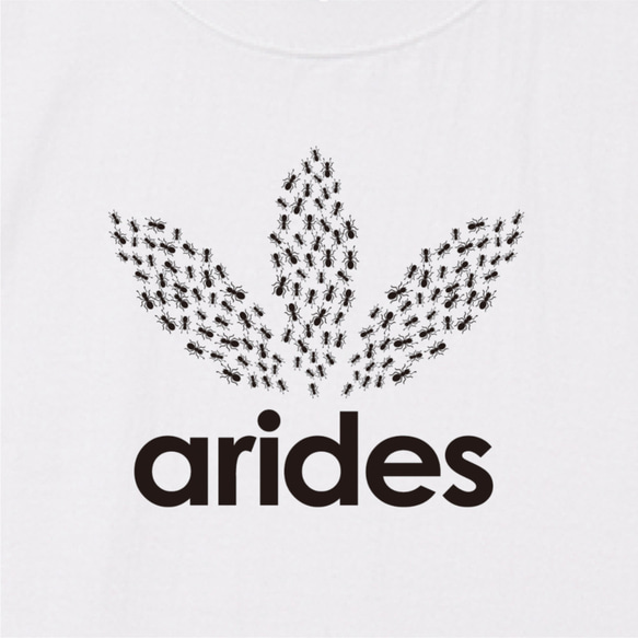 【送料無料】おもしろキッズTシャツ「arides」ホワイト【ゆうパケット送料サービス】 3枚目の画像