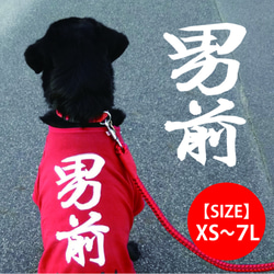 【送料無料】オリジナル犬Tシャツ「男前」（レッド）【ゆうパケット送料サービス】 1枚目の画像