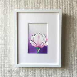 額付き【原画】「モクレン（木蓮）」 花の絵 インテリア 絵画