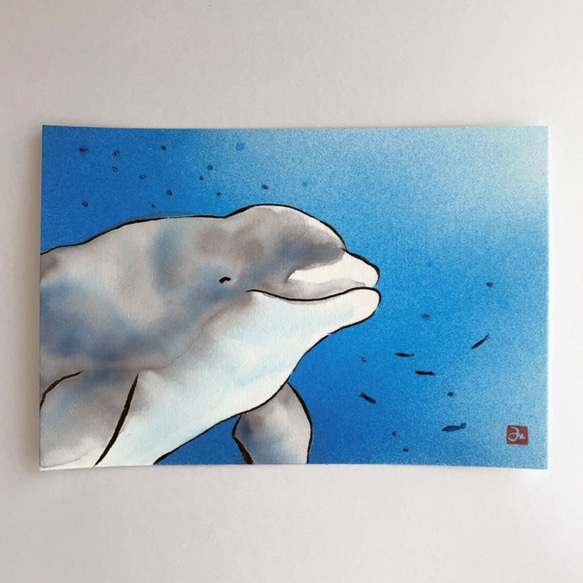 Henri Womer イルカの絵画 Henri Womer イルカの絵画 人気ブランドランキング Henri Womer