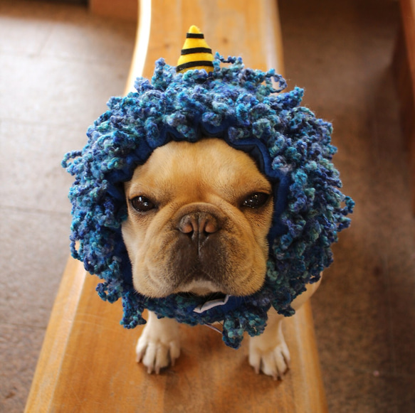 犬用 節分 鬼の角ハンドメイド 犬用 節分 鬼の角ハンドメイド 鬼 の ツノ