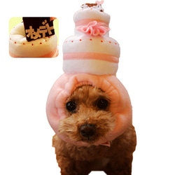 蛋糕造型狗狗帽＊XS尺寸＊ 第1張的照片