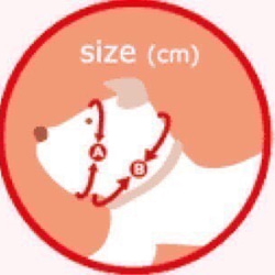 ケ－キ犬ヅラ【Sサイズ】or【Mサイズ】 2枚目の画像